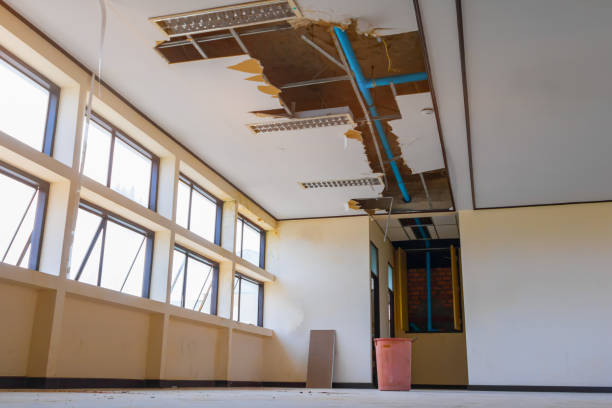 Best Flood restoration services  in Bisbee, AZ