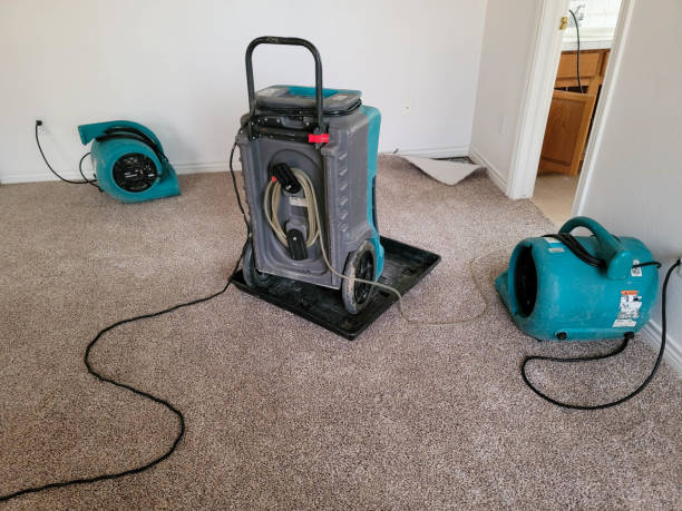 Best Flood restoration services  in Bisbee, AZ