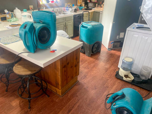 Best Water damage restoration services  in Bisbee, AZ