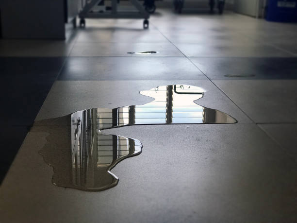 Best Commercial water damage restoration  in Bisbee, AZ