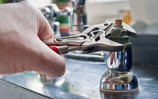 Best Mold removal after water damage  in Bisbee, AZ