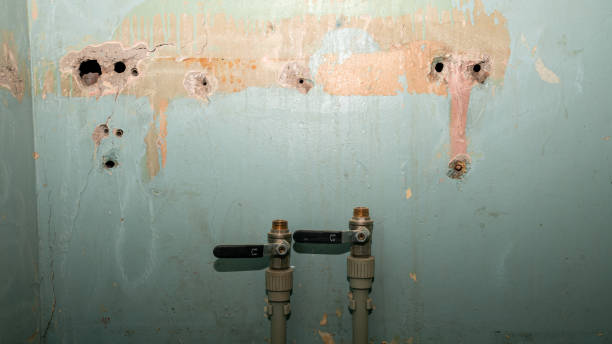 Best Professional water damage repair  in Bisbee, AZ