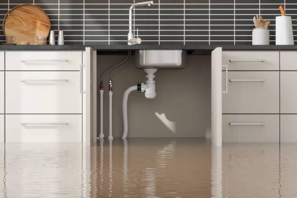 Best Fire Damage Restoration  in Bisbee, AZ