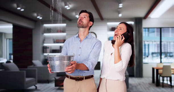 Best Flood restoration services  in Bisbee, AZ