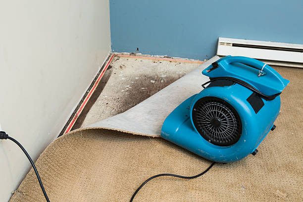 Best Fire Damage Restoration  in Bisbee, AZ